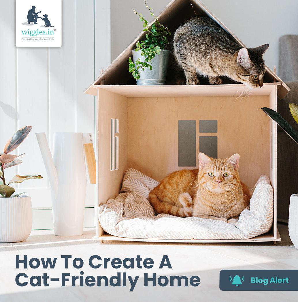 Cat friendly hot sale house