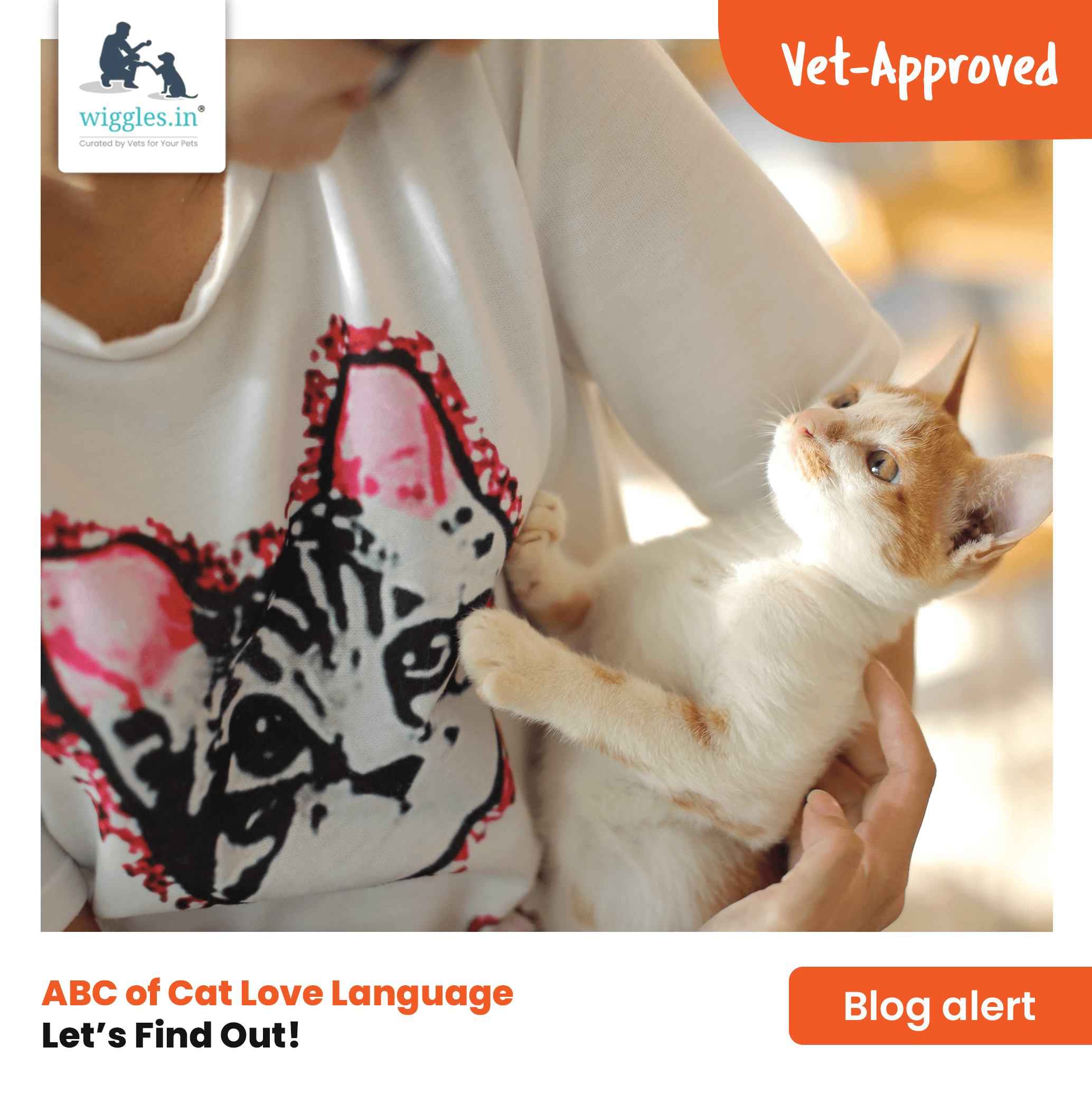 Learn A Cat's Language Of Love | Wiggles Blog