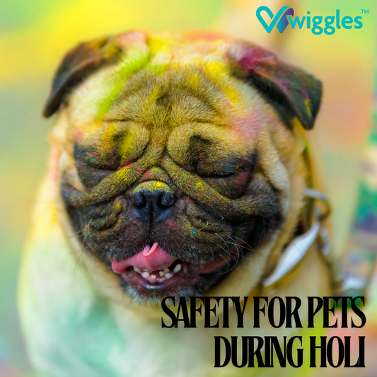 Keeping Pets Safe: A Guide to Celebrating Holi Responsibly - Wiggles