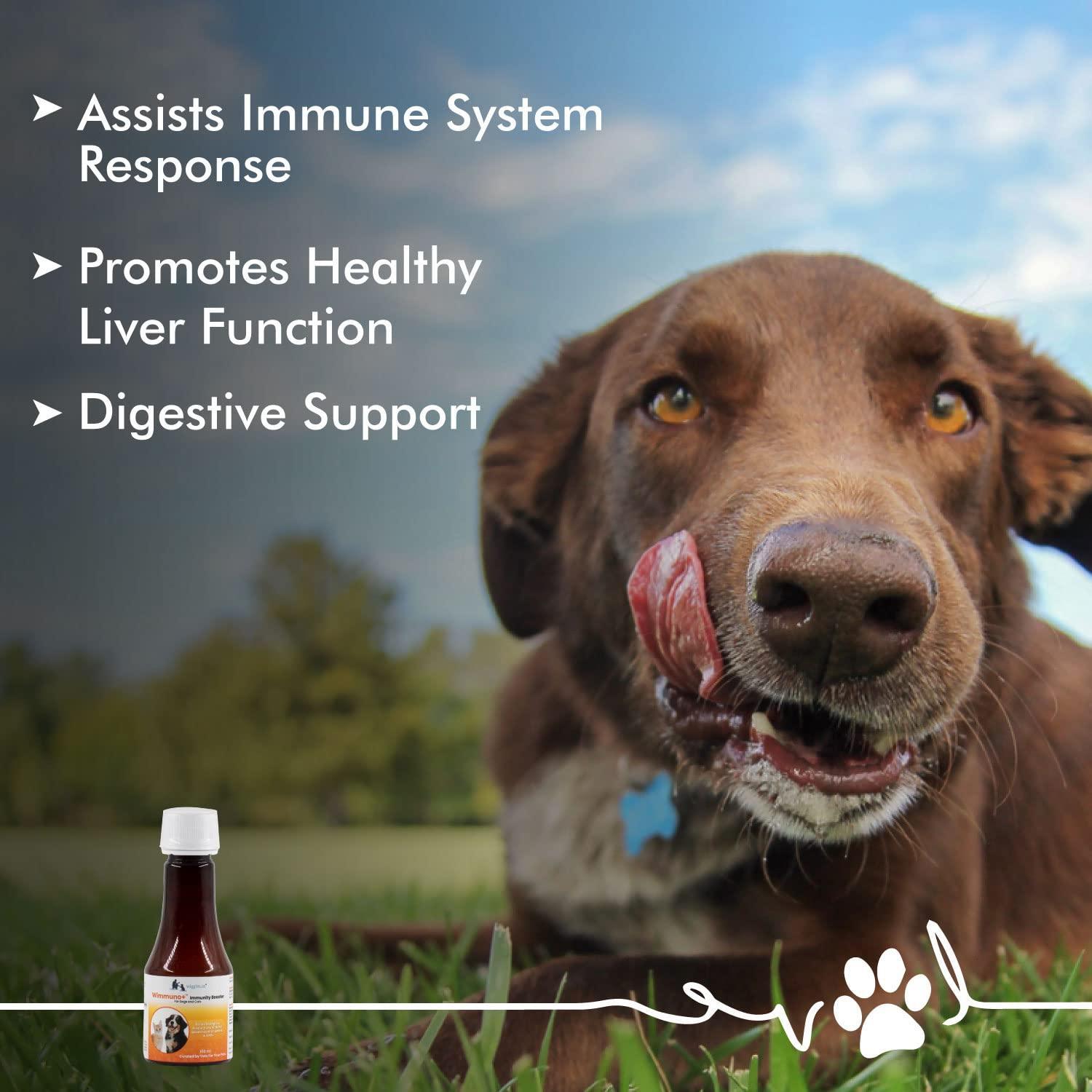 Boosting dogs immune store system