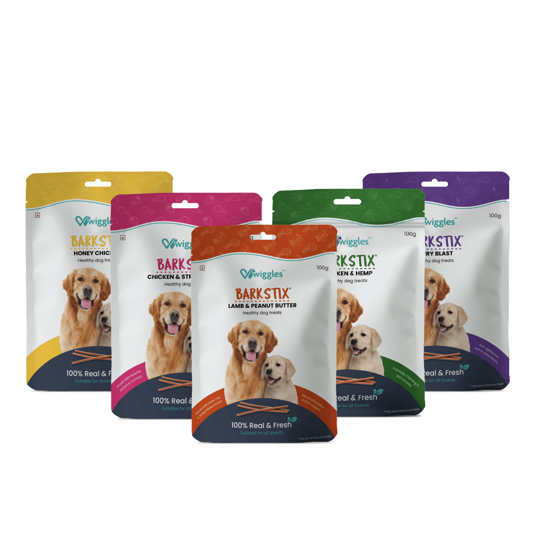 Barkstix Super Pack - Pack of 5 - Wiggles.in