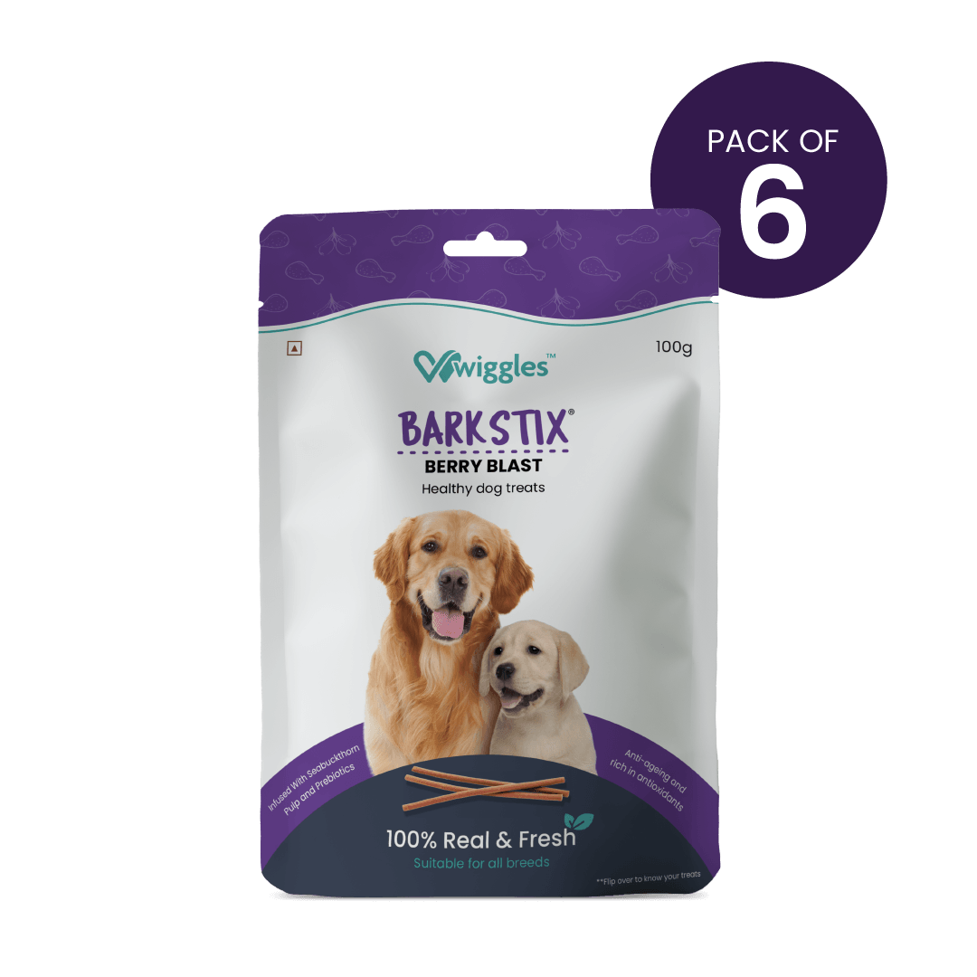 Barkstix Dog Treats for Training Adult & Puppies, (Berry Blast) - Wiggles.in